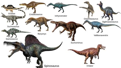 Динозавры Виды И Названия С Фото — Скачать фото