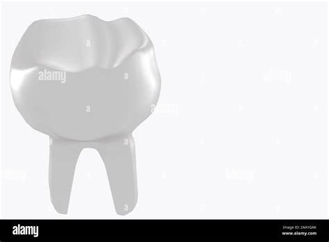 Molar Tooth The Structure Of The Tooth 3d Medical Illustration Stock
