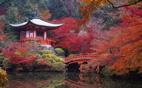 Japan Kyoto Daigo Autumn Landscape Japan 1280 X 800 Hd Wallpaper Pxfuel