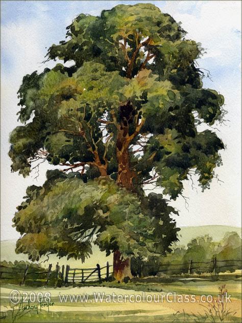 Tree Watercolor Painting Watercolor Landscape Paintings Watercolor