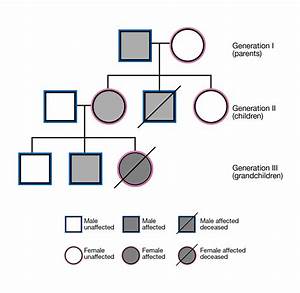 Study The Pedigree Chart Of A Family Showing The Inheritance Images