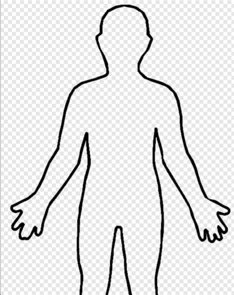 Body Outline Human Body Outline Sketch Png Download 500x630