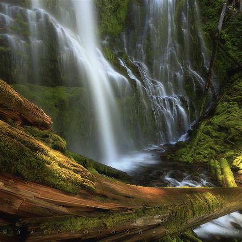 The Journey Proxy Falls Oregon Landscape And Nature Photography