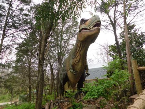 Dinotrek Is Back At The Nashville Zoo Rutherford Source