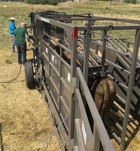 Portable Hydraulic Cattle Working Chute Double Alley With Tub Twin Tub