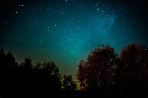 Fotos Gratis Bosque Noche Estrella V A L Ctea Atm Sfera Espacio