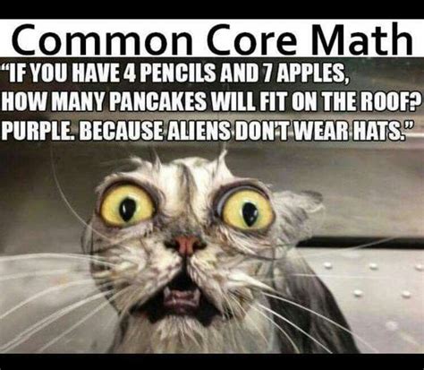 Common Core Cat Math Meme Funny Cat Memes Funny Laugh Funny Animal