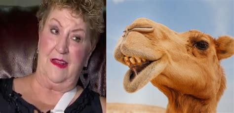 Liveleak aims to freely host real footage of politics, war. This camel story is full of nuts, woman "camel toed ...