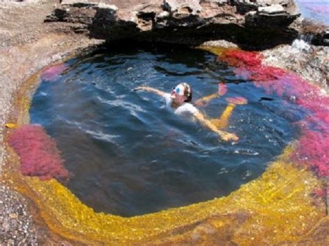 Tour Caño Cristales 4 Days 3 Nights