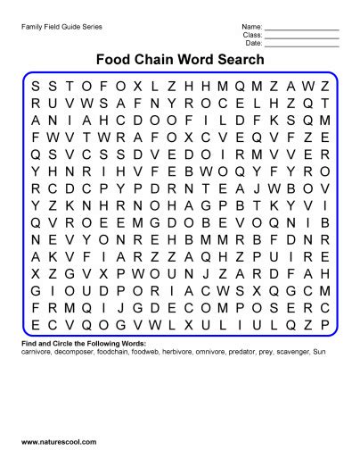 Food Chain Word Search Student Activity Pages