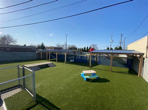 Playtime Doggy Daycare II – The Gateway to Milwaukee