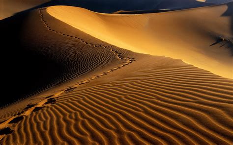 Desert Sand Hd Wallpaper 1680x1050 29901