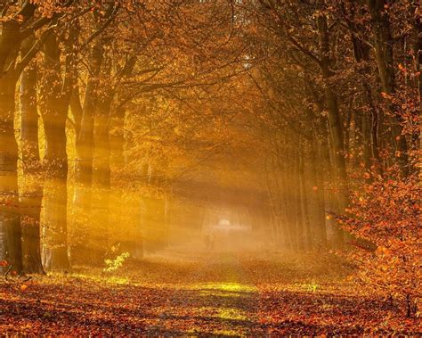 Fantastic Autumn Landscape Scenery Hd Wallpaper Preview