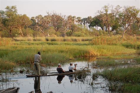 Camp moremi is situated in the xakanaxa area of moremi game reserve in botswana. Budget Travel in Moremi Game Reserve | Budget Travel Guide