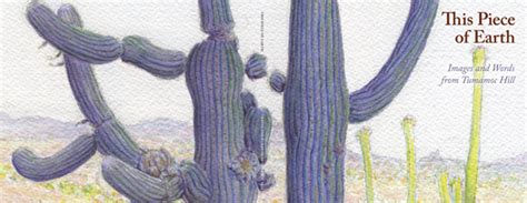 Tumamocs Artistic Inspiration Zocalo Magazine Tucson Arts And Culture