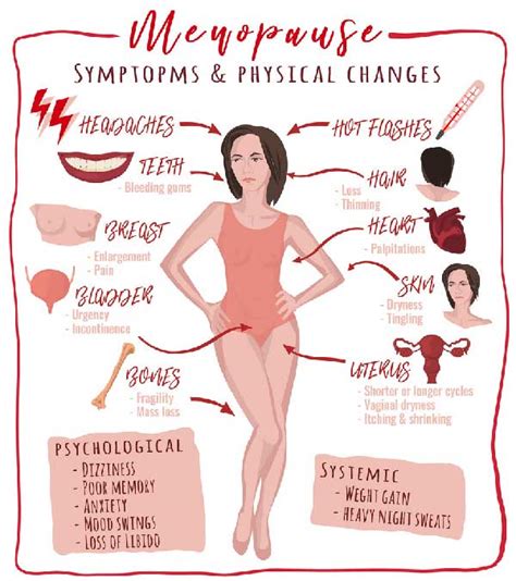 Menopause Symptoms And Physical Changes Rachel Graham Nutrition
