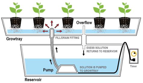 Flood And Drain Indoor Organic Growing System For The Home