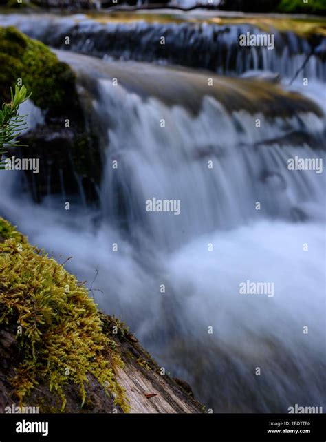 Close Up Of Moss In Front Of Flowing Water In Mountain Stream Stock