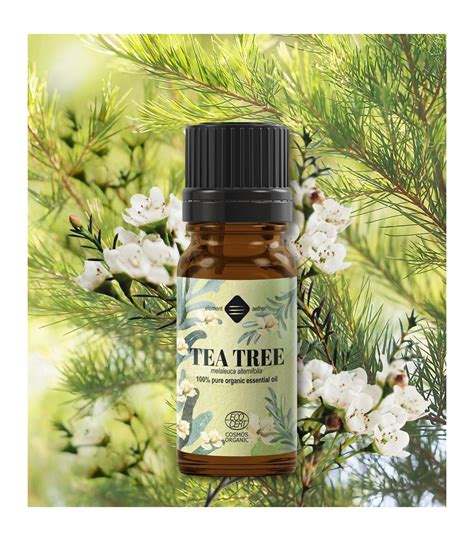 Tea Tree Organic Pure Essential Oil Melaleuca Alternifolia
