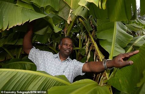 She will donate the rest to nottingham charities because she does not want. Plant-lover turns his back-garden in Coventry into ...