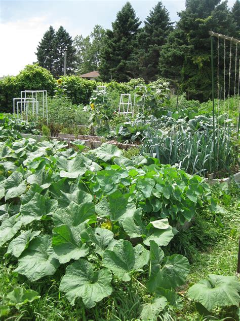 Take note, the amount of time you will spend preparing your new garden plot will determine the amount of time you will require to carry out routine. Community Garden Plots | Dodge Nature Center