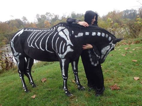 80 Animals That Are Celebrating Halloween Early This Year Pulptastic