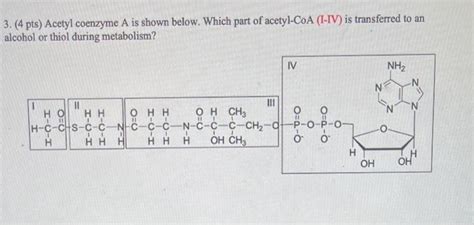 Solved 3 4 Pts Acetyl Coenzyme A Is Shown Below Which Chegg Com