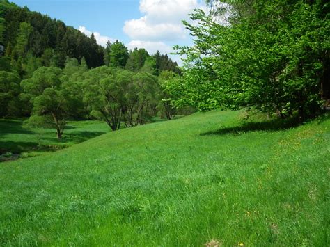 Grünes Tal Erzgebirge Gras Kostenloses Foto Auf Pixabay