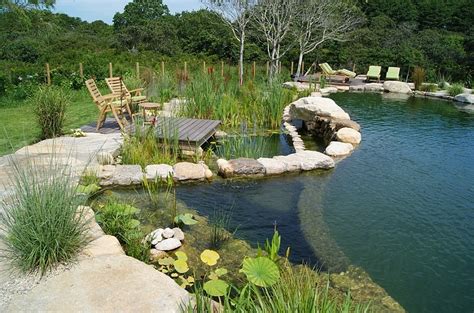Backyard Landscaping Ideas-Natural Pools Shaping an ...