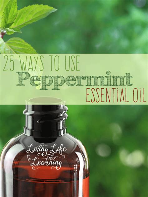 25 Ways To Use Peppermint Essential Oil Peppermint Essential Oil