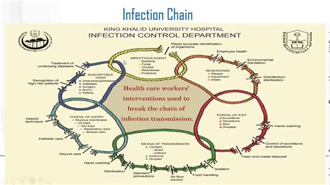 Basic Principles Of Infection Control Practices Trim Youtube