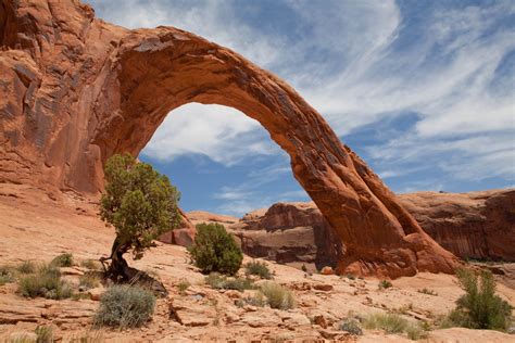 How Are Arches Formed