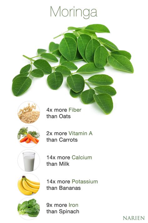 Moringa or drumstick tree is used as a part of diet in india since ages. Moringa Oleifera Leaf, Powder & Seeds - Narien