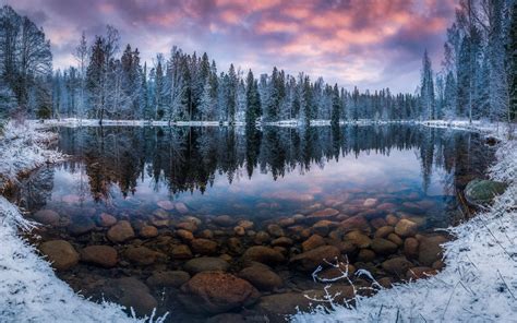 Finland Nature Landscape Winter Snow Morning Sunrise Forest Lake Reflection Transparent Water