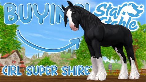 Buying The Super Shire Star Stable Updated Shires Youtube