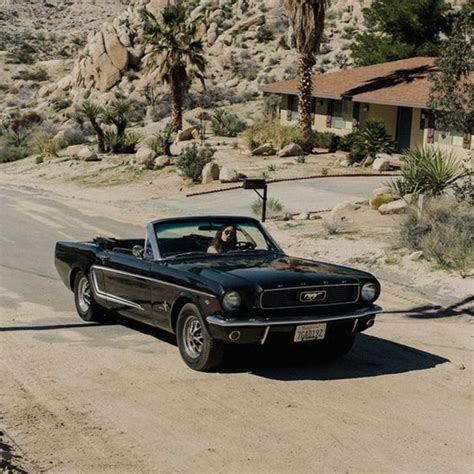 Driving around in Joshua Tree ☝️ . . . . . .#joshuatree #california #