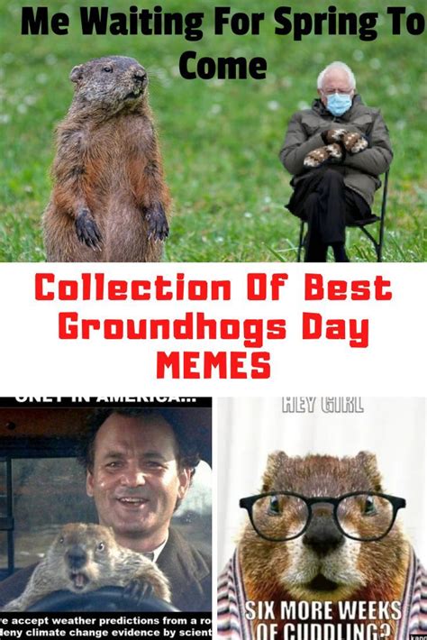 Collection Of Groundhogs Day Memes 2021 Guide For Geek Moms In 2021