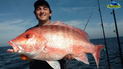 Tampa Florida Fishing Spots Tampa Offshore Tampa Elbow Gps Spots