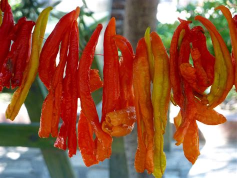 The Complete Guide To Sun Drying Fruits And Vegetables