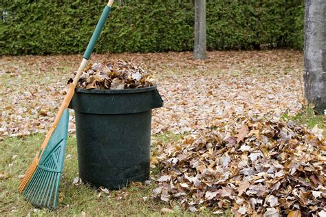 The Council Returns Garden Waste Collections Durham Magazine Your