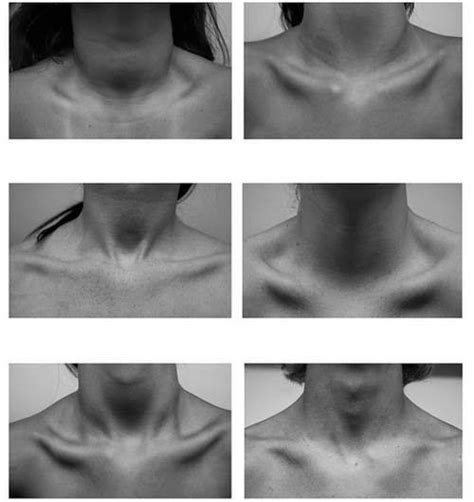 Cartoon Block - How to draw different collar bones... | Facebook
