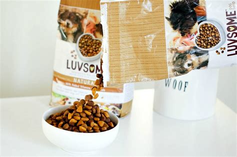 These bad dog food ingredients are some of the worst offenders. How To Show Your Furry Friend Lots of Love