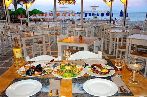An autotroph is an organism that can make its own food for energy. Restaurants and Taverns Kos - where to eat on Kos island