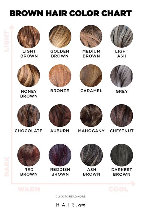 Shades Of Brown The Ultimate Brunette Hair Color Chart Artofit