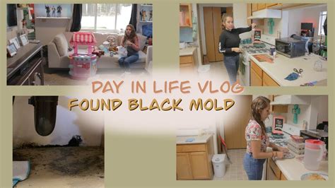Daily Vlog We Found Black Mold Under Our Kitchen Sink 😨 Youtube