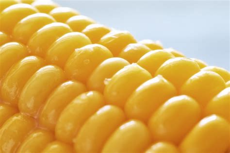 Premium Photo Close Up On Oiled Corn On The Cob