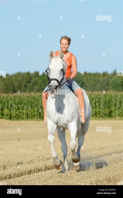 Junge Frau Reiten Ohne Sattel Auf Einem 23 Jahre Alten Bayerischen Pferd Im Galopp In Einem