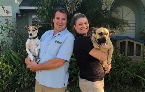 176 results for bark busters. Training Services - Dog Training Melbourne Palmbay Dog ...