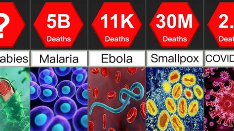 Deadliest Diseases In The History Comparison Datarush 24 Youtube