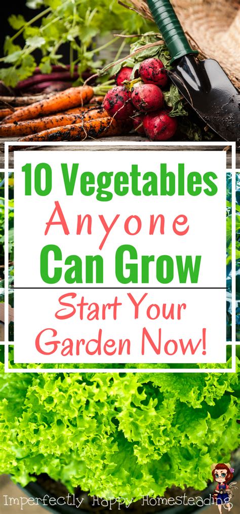10 Vegetables Anyone Can Grow Easy To Grow Gardening Start Your